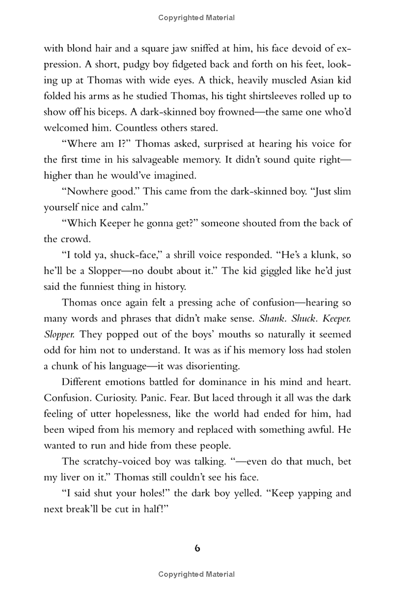 the maze runner - Ảnh 12