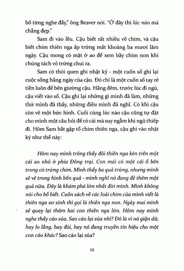 tiếng kèn thiên nga - Ảnh 7
