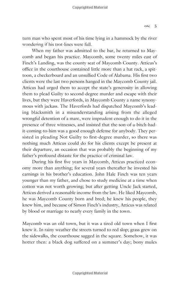 to kill a mockingbird - Ảnh 9