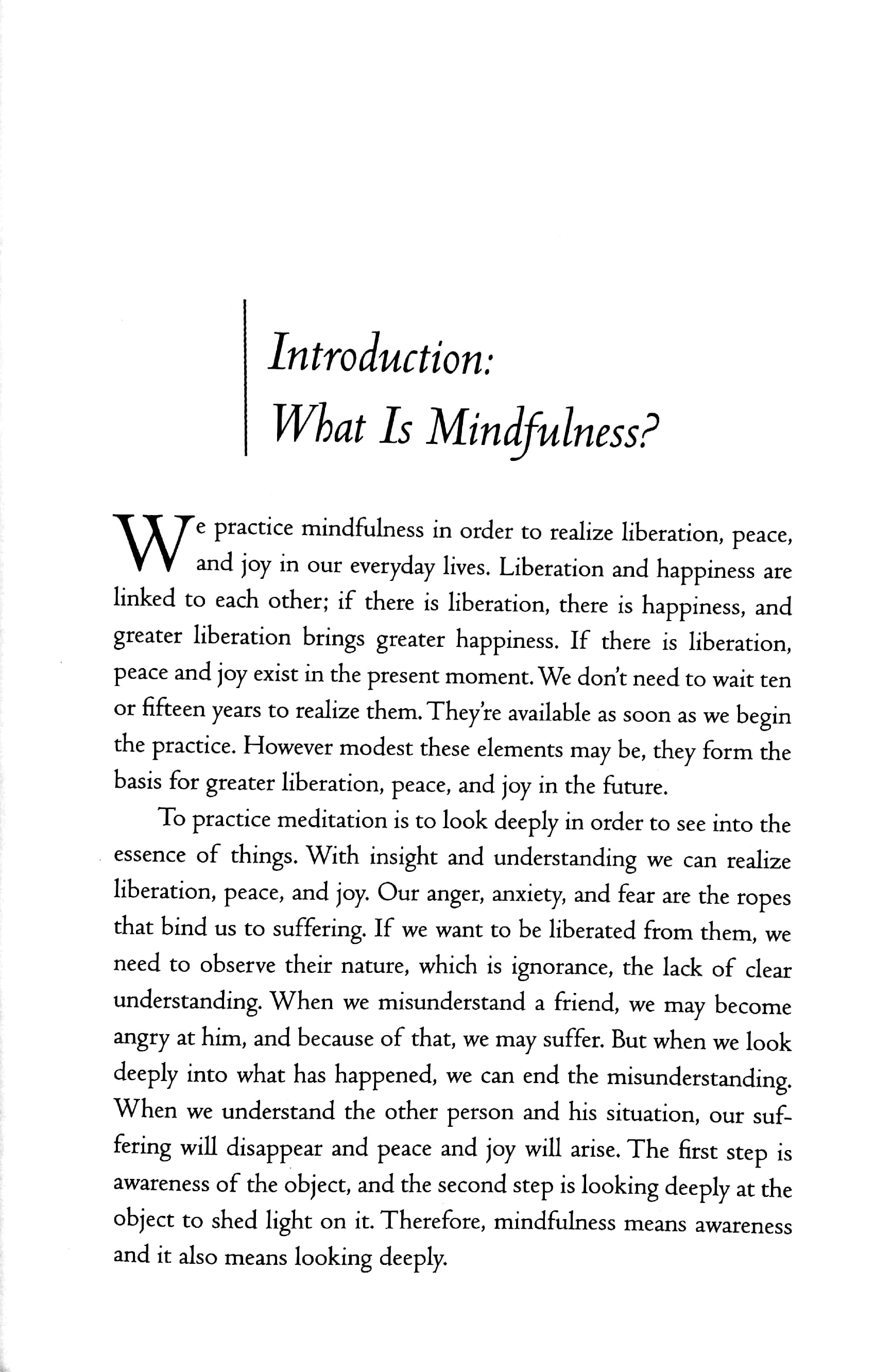 transformation and healing : sutra on the four establishments of mindfulness - Ảnh 5