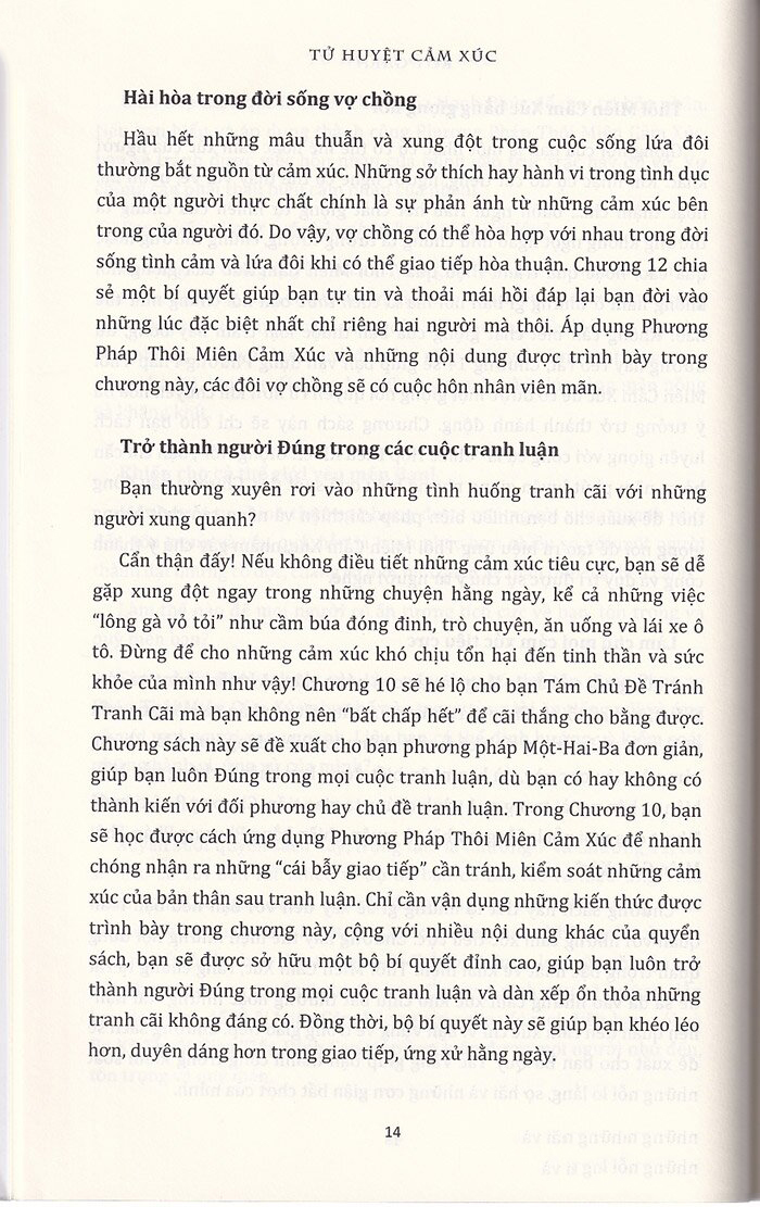 tử huyệt cảm xúc (tái bản 2022) - Ảnh 11