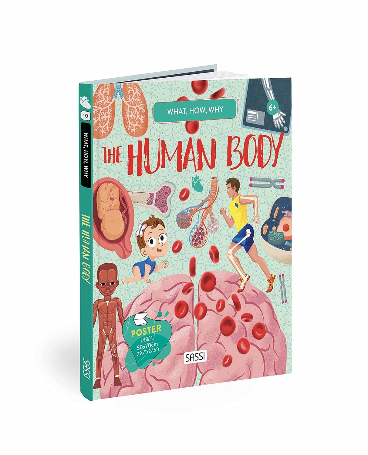 what how why human body - Ảnh 2