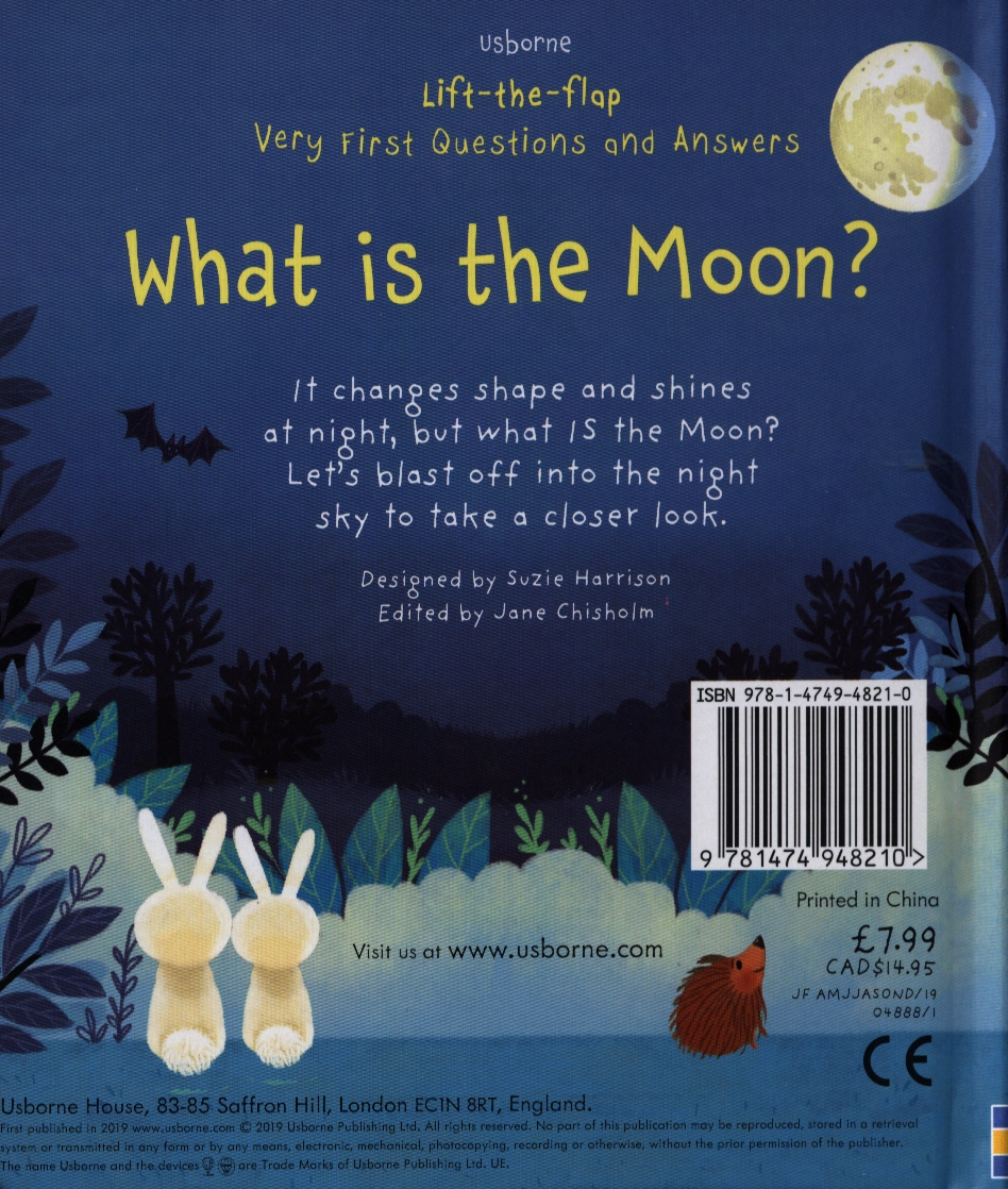 what is the moon? (very first lift-the-flap questions & answers) - Ảnh 8