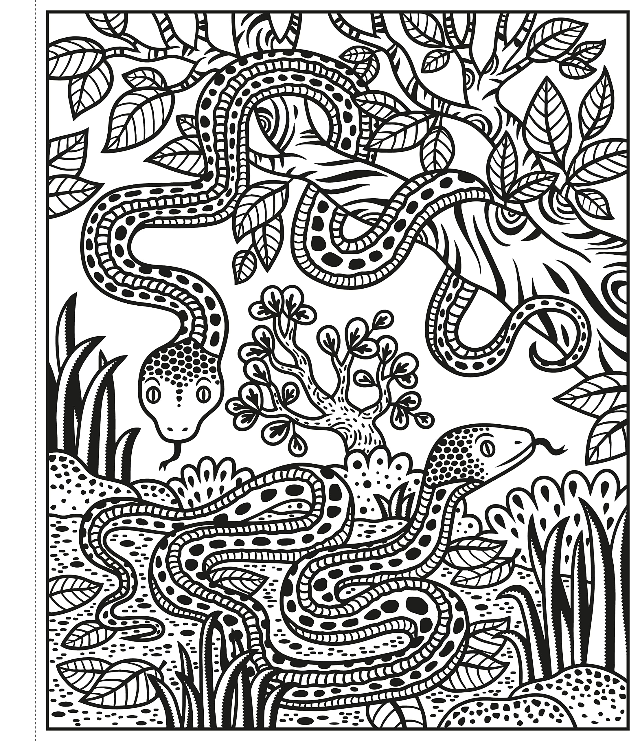 zoo magic painting book - Ảnh 5
