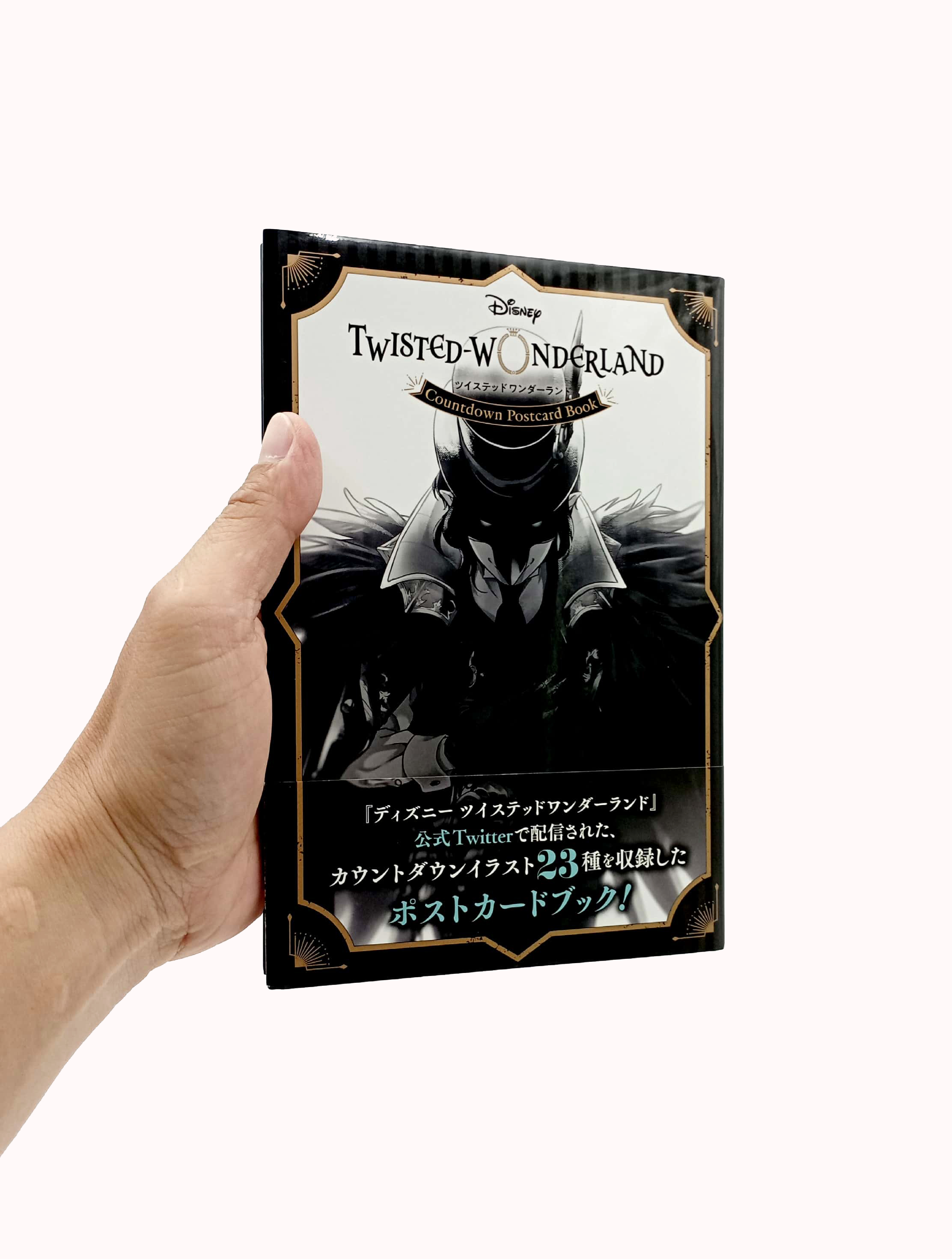 『ディズニー ツイステッドワンダーランド』カウントダウン ポストカードブック - disney: twisted-wonderland countdown postcard book - Ảnh 7
