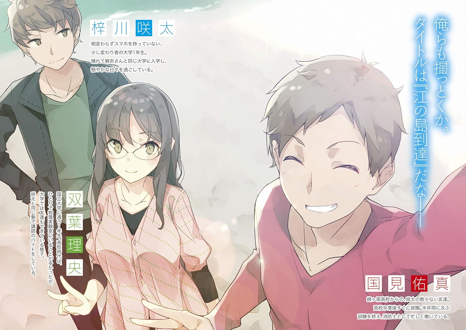 青春ブタ野郎はナイチンゲールの夢を見ない - seishun buta yaro wa naichingeru no yume wo minai (light novel) - Ảnh 4